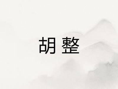 胡整