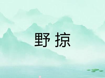 野掠