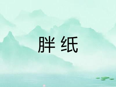 胖纸