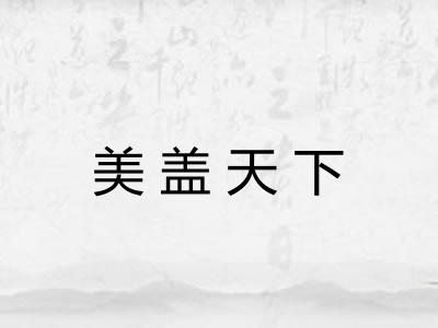 美盖天下