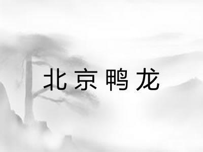 北京鸭龙