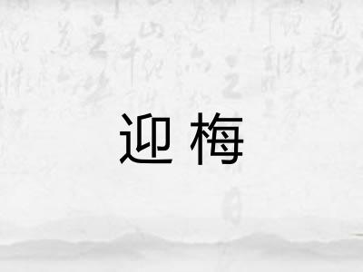 迎梅