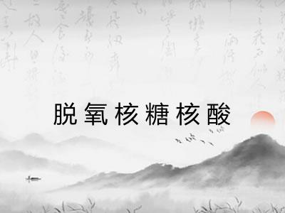 脱氧核糖核酸