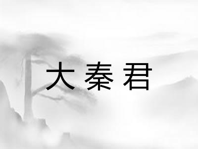 大秦君