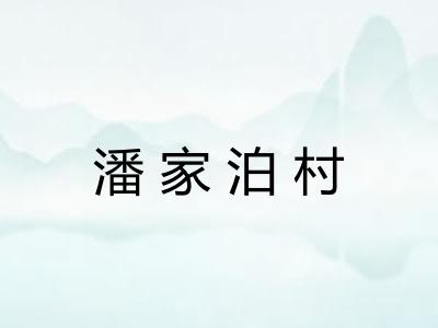 潘家泊村