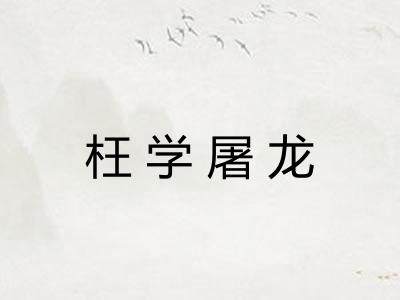 枉学屠龙