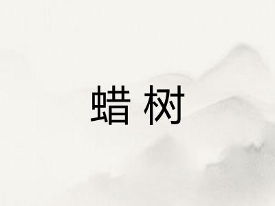 蜡树