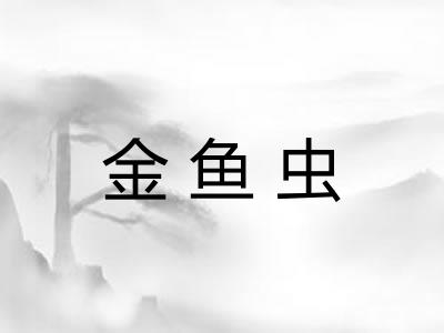 金鱼虫