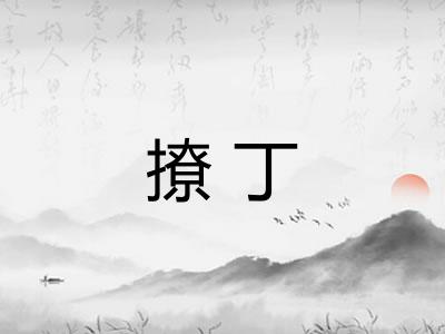 撩丁