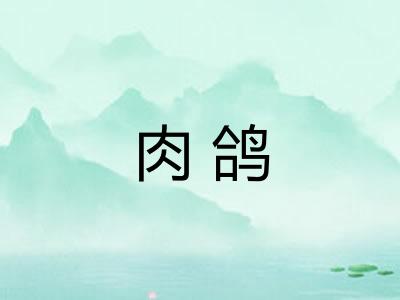 肉鸽