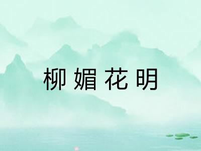 柳媚花明