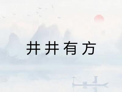 井井有方