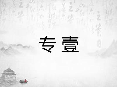 专壹