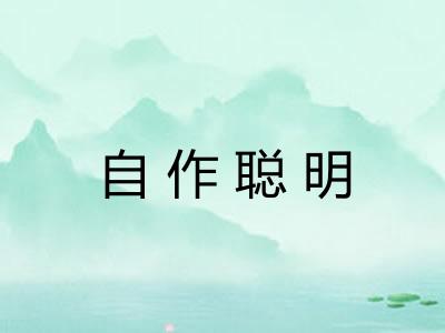 自作聪明