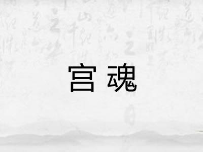 宫魂