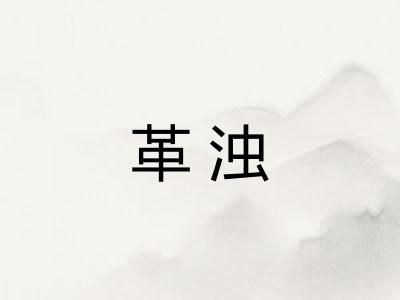 革浊