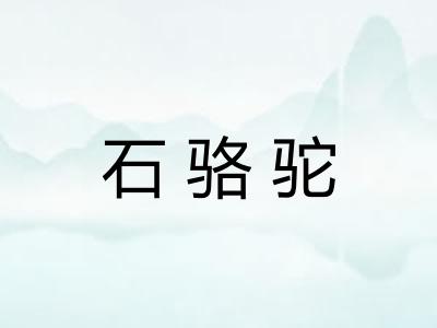石骆驼