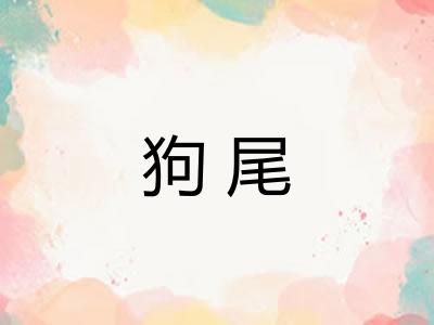 狗尾