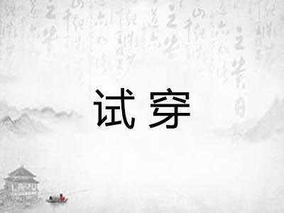 试穿