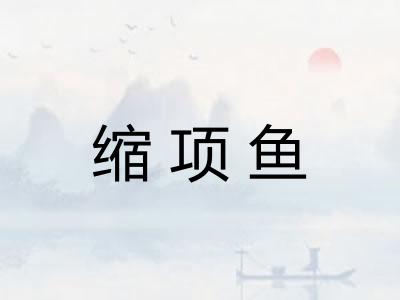 缩项鱼