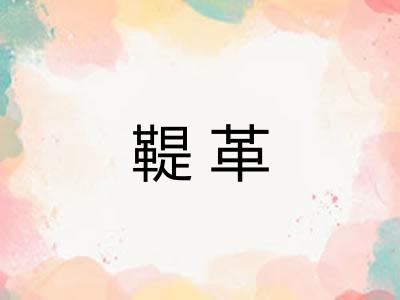 鞮革