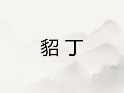 貂丁