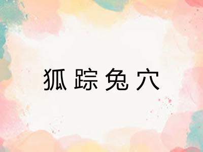 狐踪兔穴