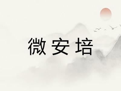 微安培