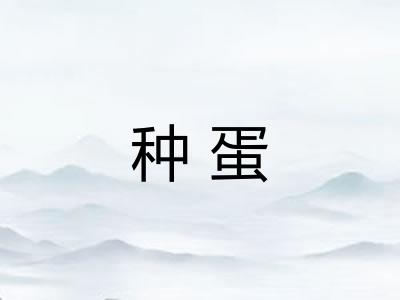 种蛋