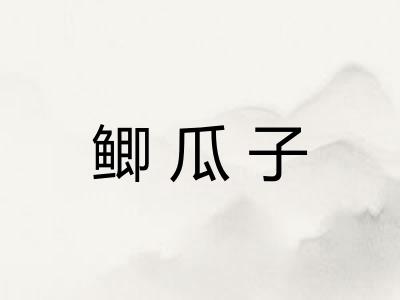 鲫瓜子