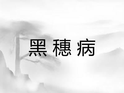 黑穗病