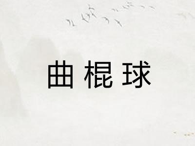 曲棍球
