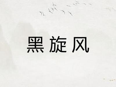 黑旋风