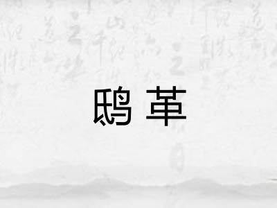 鸱革