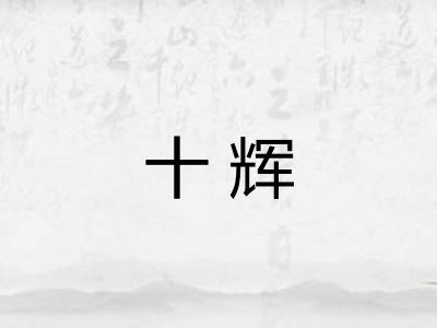 十辉