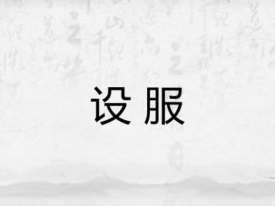 设服