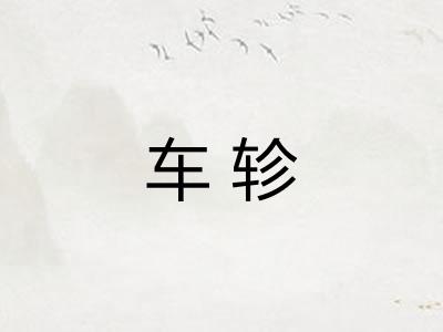 车轸