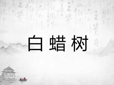 白蜡树