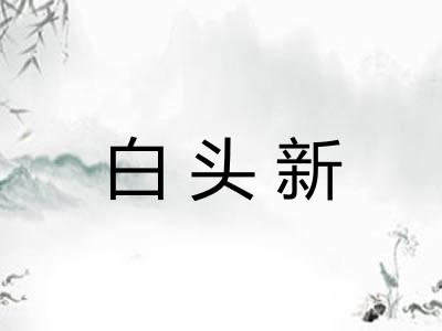 白头新