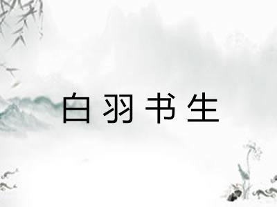 白羽书生
