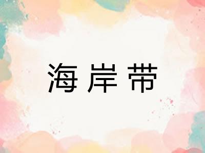 海岸带