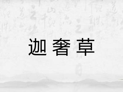 迦奢草