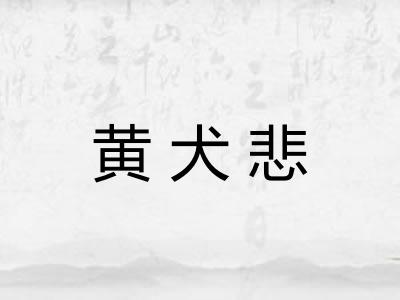 黄犬悲