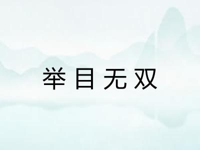 举目无双