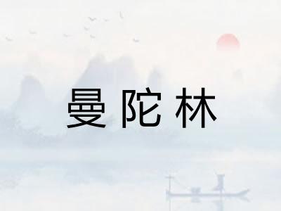 曼陀林