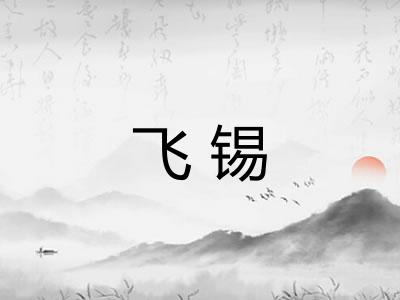 飞锡