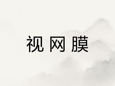 视网膜