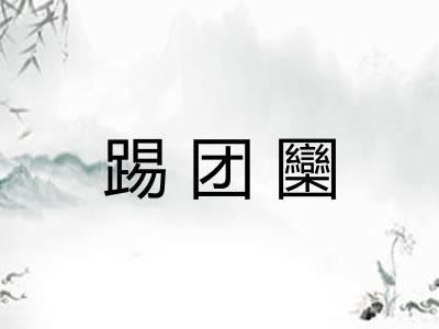 踢团圞