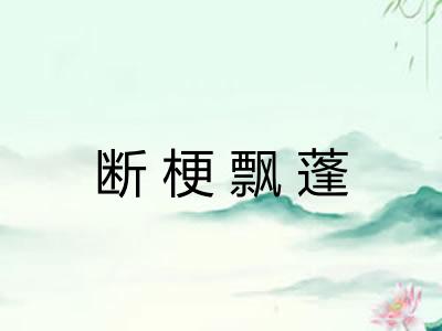断梗飘蓬