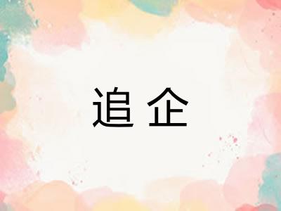 追企